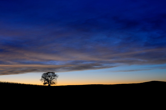 Maryland Sunset