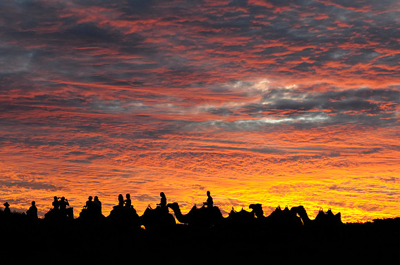 Camel Ride at Sunset - Australia