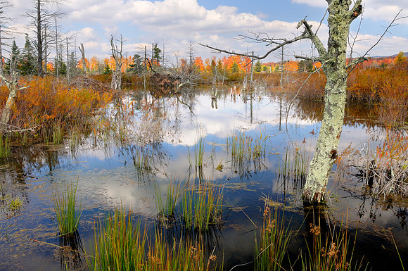 Canaan Valley, West Virginia