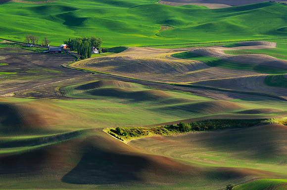 Palouse, Washington