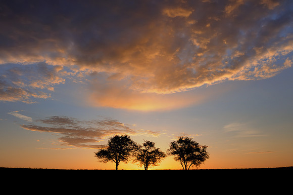 Maryland Sunrise