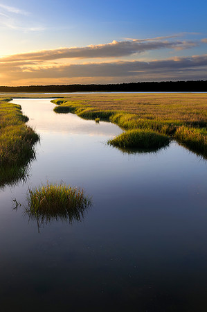 Chincoteague, VA