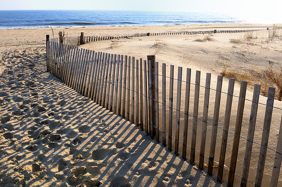 Cape Henlopen State Park - Delaware
