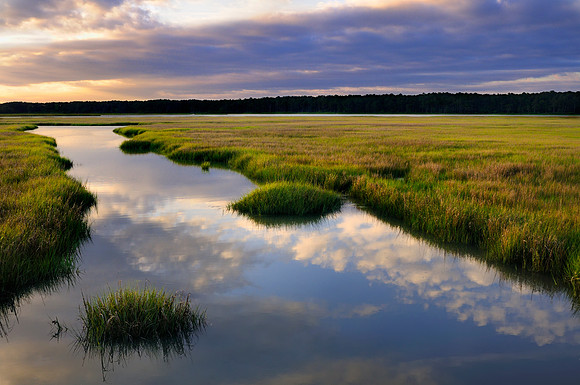 Chincoteague, VA