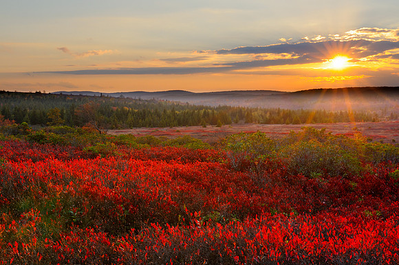 Dolly Sods, West Virginia