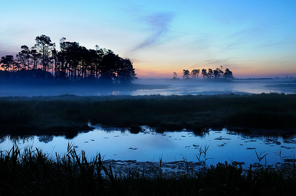 Chincoteague National Wildlife Refuge, VA