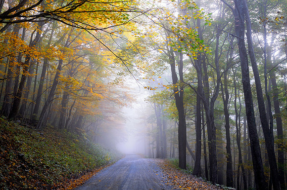 Autumn in West Virginia