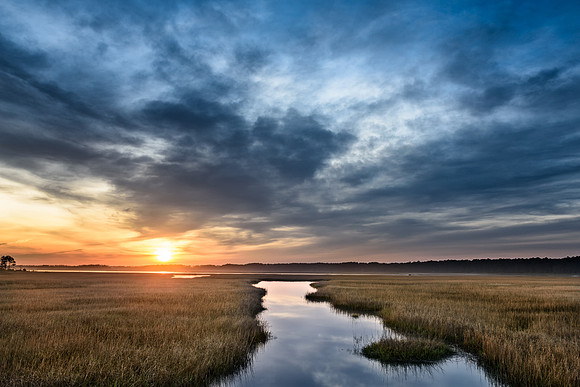 Chincoteague, VA