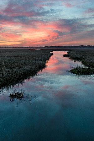 Chincoteague, VA
