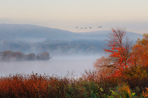 Middle Creek Wildlife Refuge, PA