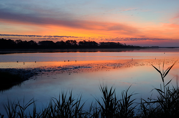 Chincoteague, VA