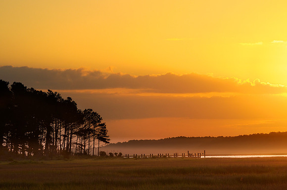 Chincoteague, VA